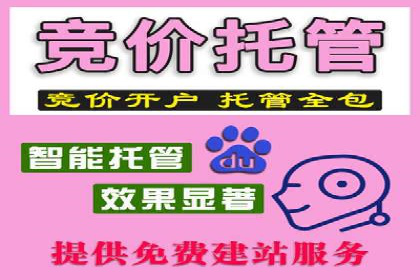 竞价SEM托管服务效果评估与案例分析